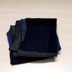 Chal, ha sido reportado por Arriva Oost-Brabant con iLost