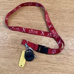 Gakoa Zilveren, gisa salatu by Stad Hasselt iLost erabiliz