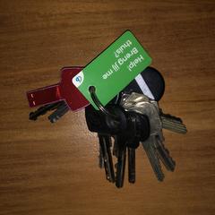 Bunch of keys / RED USB KEY + "no-longer-lost" tag, segons s'ha informat a iLost