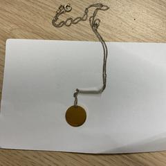 Collier met hanger, a été signalé par Gemeente Arnhem utilisant iLost