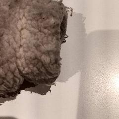 Bunda, ako bolo nahlásené De Efteling pomocou iLost