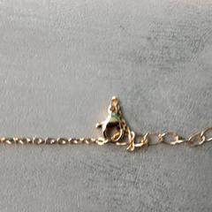 Šperky, jak nahlášeno Arriva Friesland / Groningen pomocí iLost