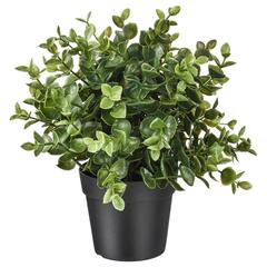 IKEA product, as reported by IKEA Alfragide using iLost
