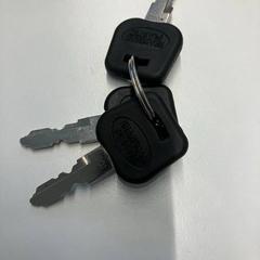 Chiave, come riportato da Gemeente Rijswijk utilizzando iLost