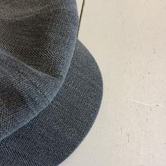 كاسكيت، كما تم الإبلاغ عنه بواسطة GVB عبر iLost