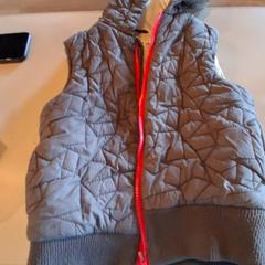 Jas Grijs bodywarmer, zoals gemeld door Familiepark Drievliet met iLost