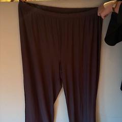 Pants Bruin, as reported by Hotel Apeldoorn using iLost
