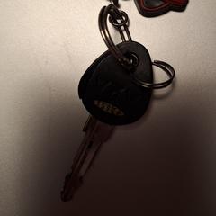 Fietssleutel, jak zgłoszono do iLost