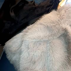 Clothes, as reported by BOAT&CO using iLost