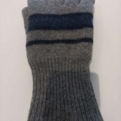 Kesztyű handschoenen, amint azt Arriva Limburg Zuid az iLost segítségével jelentette.