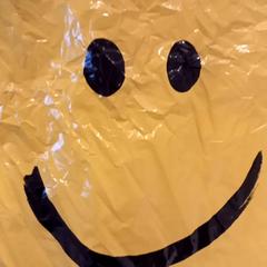 Tas، كما تم الإبلاغ عنه بواسطة Arriva Limburg Noord عبر iLost