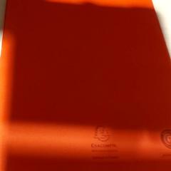 متنوع Documenten، كما تم الإبلاغ عنه بواسطة Regio Antwerpen - Brussel عبر iLost