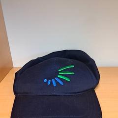 Cap, come riportato da Keolis Lund utilizzando iLost