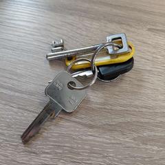 Claus, segons ha informat EBS OV Poeldijk mitjançant iLost