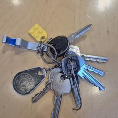 Sleutelbos, come riportato a iLost