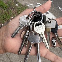 Sleutelbos, iLost에 보고됨