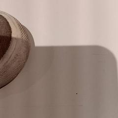 But, zgłoszono przez De Efteling przy użyciu iLost