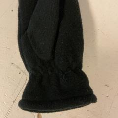 Guanto handschoem, come riportato da Artis utilizzando iLost