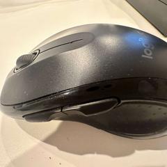 Rato, segundo informou Inntel Hotels Utrecht Centre usando iLost