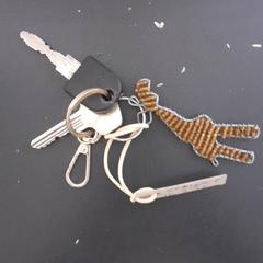 Sleutels : huissleutel & fietssleutel (AXA) がiLostで Qbuzz servicepunt  Emmen によって報告されました