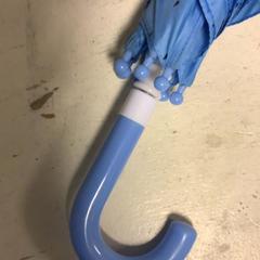 Umbrella Blauw, as reported by Artis using iLost