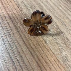 Gyűrű flower, amint azt Vrije Universiteit Brussel (VUB) az iLost segítségével jelentette.