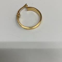 Earrings, as reported by IKEA新三郷 using iLost