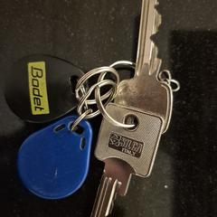 Sleutelbos, como reportado ao iLost