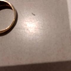 Prsten, jak nahlášeno De Efteling pomocí iLost