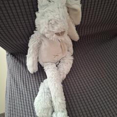 Blauw knuffel konijntje, iLost에 보고됨