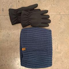 Scaldacollo blauw, come riportato da Regio West-Vlaanderen utilizzando iLost