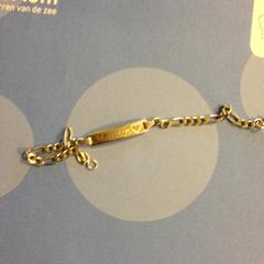 Armband, as reported by Dolfinarium using iLost