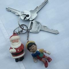 bos sleutels, as reported to iLost