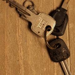 Sleutelbosje, segundo informou a iLost