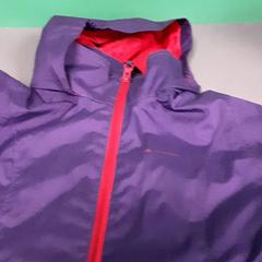 Jas kind, amint azt Diergaarde Blijdorp az iLost segítségével jelentette.