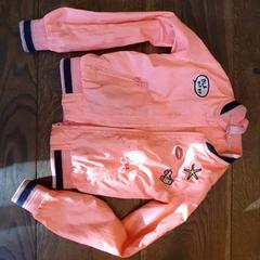 Veste Roze, a été signalé par DierenPark Amersfoort utilisant iLost