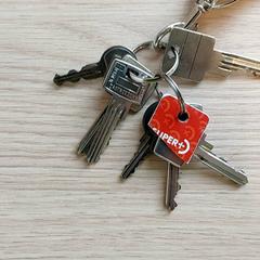 Clés, a été signalé par Centraal magazijn utilisant iLost