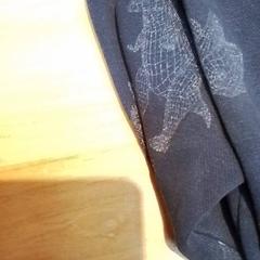Maglione, come riportato da Beekse Bergen Resorts en Hotel utilizzando iLost