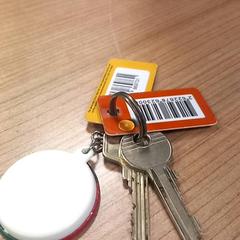 Chaveiro, segundo informou RRReis Veluwe Zuid - Ede usando iLost