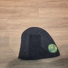 Beanie, som rapportert av AFAS Live ved bruk av iLost