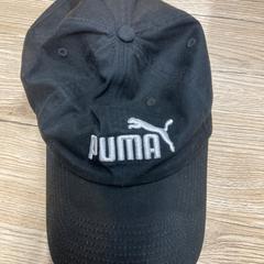 Zwarte puma pet, gisa salatu by Pathé Delft iLost erabiliz