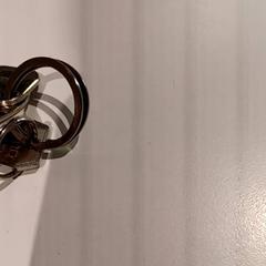 Claus, segons ha informat De Efteling mitjançant iLost