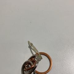 Chaveiro Brons 250425 USH3, segundo informou Ziggo Dome usando iLost