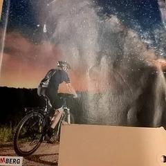 Skolebok, som rapportert av RET ved bruk av iLost