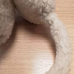 Fülvédők oecru, amint azt Qbuzz Fryslân az iLost segítségével jelentette.