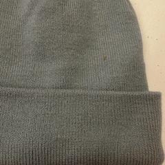 Muts, zoals gemeld door GVB met iLost