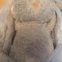 Teddy bear Beige, as reported by ibis Styles Rotterdam Ahoy using iLost