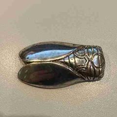 Spilla Zilverkleurig, come riportato da Gemeente Beekdaelen utilizzando iLost