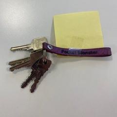 Kulcsok met paarse hanger, amint azt Gemeente Ede az iLost segítségével jelentette.