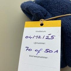 Rukavice, ako bolo nahlásené Regio West-Vlaanderen pomocou iLost